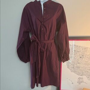 Ann Taylor Plum Long Sleeve Dress NWT